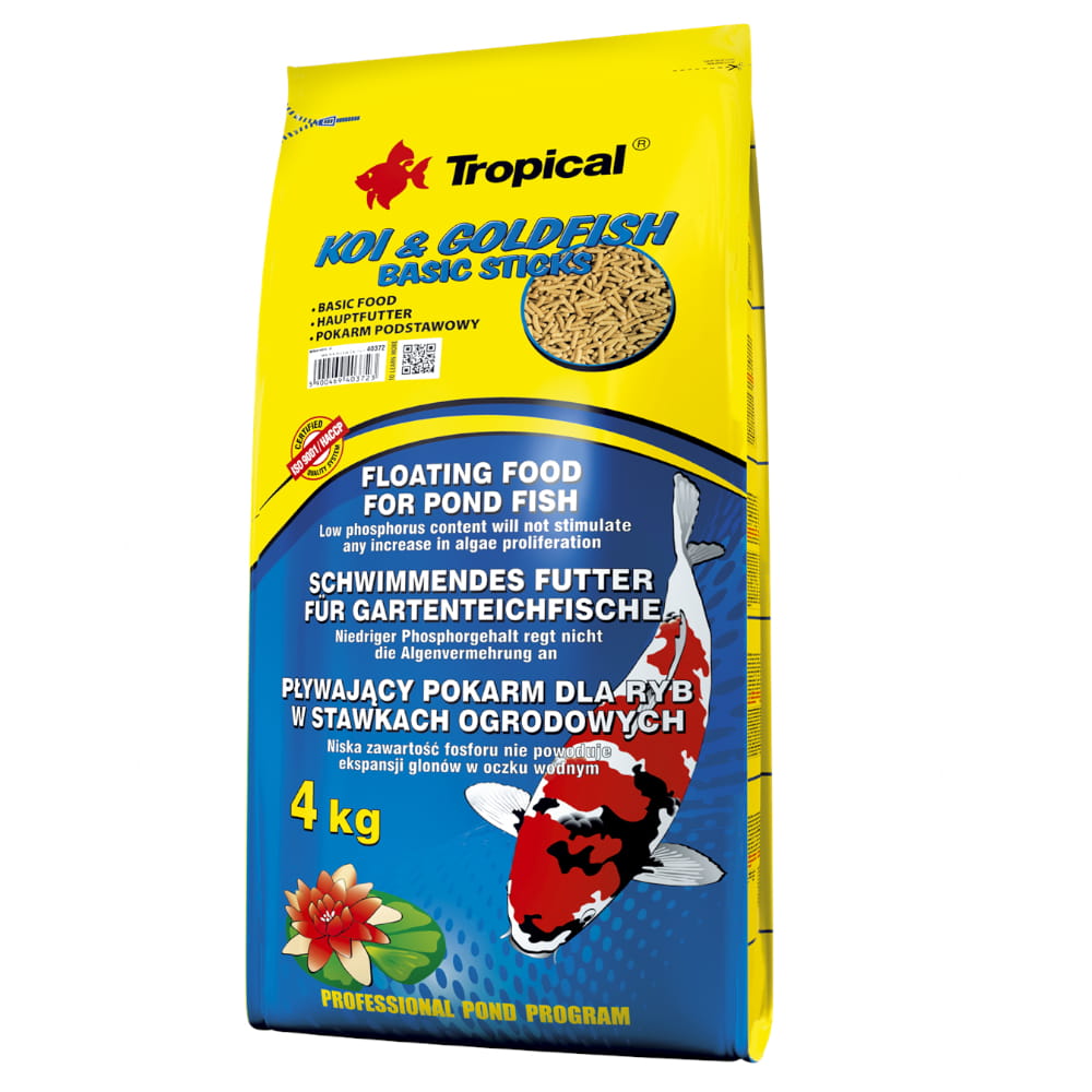 koi goldfish basic sticks 50 2.jpg